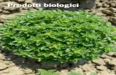 Prodotti biologici - Ingegnoli · SAPONE NERO Sapone nero di origine vegetale; diluito in acqua si applica sulle foglie delle piante per pulire la melata lasciata dagli afidi e la