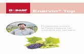 Enervin - BASF...Inserito in un programma completo che prevede l'impiego di prodotti a diverso meccanismo di azione, Enervin Top assicura il controllo ottimale della Peronospora della