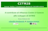 CITRISold.iss.it/binary/iatr/cont/CITRIS_Lombardo.pdfIl contributo di Alleanza Contro il Cancro allo sviluppo di IATRIS Roma 14 febbraio 2012 claudio.lombardo & tiziana.ruzzon CITRIS