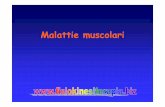 Malattie muscolari - Fisiokinesiterapia muscolari.pdf · Distrofia Muscolare di Duchenne Muscolo Fibra muscolare Ubicazione della distrofina Proteina Membrana cellulare Biopsia muscolare