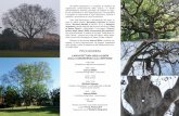 PROGRAMMAarbestense.it/images/depliant1-compressed.pdfJeanne Millet è biologa con dottorato di ricerca dal 1997 in ecologia e architettura degli alberi conseguito presso l’Università