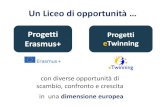 Un Liceo di opportunità · Erasmus + TWIN LIBRARY Twinning TwinSpace HOME PAGES MATERIALS FORUM English Support ONLINE MEETINGS Logout MEMBERS Twin Library The project aims at fostering