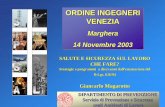 ORDINE INGEGNERI VENEZIA€¦ · Infortuni sul lavoro avvenuti in Veneto negli anni 2001 e 2002 e denunciati all’INAIL per settore di attività economica Agricoltura 7.384 6.503