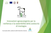 Innovazioni agroecologiche per la resilienza e la sostenibilità … · resilienza e la sostenibilità della zootecnia di montagna Ecomuseo della Judicaria dalle Dolomiti al Garda