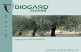 www biogard it · dell’olivo. RAPAX AS® Insetticida a base di B. thuringiensis varietà kurstaki ceppo EG 2348 per il controllo della Tignola dell’olivo. NU-FILM-P Coadiuvante