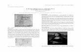 LEONARDO E LA MEDICINA “I Codici di Leonardo” e...Leonardo e la Medicina “I Codici di Leonardo” 59 Fig.7. Tavola Anatomica – studio dei vasi sovraortici. (particolare) dal