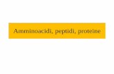 Amminoacidi, peptidi, proteine€¦ · Polipeptide Numero a.a. P.M (g/mole) Stato di produzione Fuzeon 36 4492 approvato Exendine 39 3369 Ш Buserelin 9 1239,42 In commercio Deslorelin