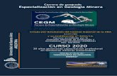 Acreditación Universitaria (CONEAU) Res. 83/2016 CURSO 2020 · Especialización en Geología Minera 20 años generando capacitación profesional s TINA CURSO 2020 en temáticas mineras