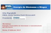 Energia da Biomasse e Biogas · 2010 14961-5 2011 14961-4 2011 14961-3 2011 UNI EN 14961-6 2011 UNI EN 14961-2 2011 ... •Turbogeneratore ORC a ciclo Rankine con fluido organico