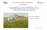 La Filiera della Chianina in Umbria · L’altro aspetto cruciale della filiera è l’efficienza riproduttiva della Chianina. Partendo dai dati degli archivi del Consorzio di Tutela