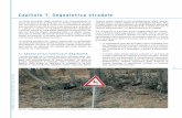 Capitolo 7. Segnaletica stradale - ARPA Piemonte · 2012-03-30 · Segnaletica stradale Fig. 25 - Cartello di segnalazione di presenza di fauna selvatica in uso in Italia. rischio