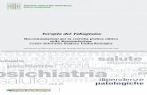 Terapia del Tabagismo - Salute · Sezione II - Individuazione del target . 1. Definizione di tabagista p 6 . 2. Dimensione del problema in Emilia-Romagna p 9 . Sezione III - Fasi