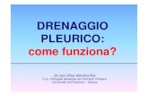 DRENAGGIO PLEURICO: come funziona? - Area-c54.it pleurico.pdf · DRENAGGIO TORACICO: SISTEMA SISTEMA DI DRENAGGIO UNIDIREZIONALE VALVOLA AD ACQUA. 1. TUBO DI DRENAGGIO ... 32 F 16