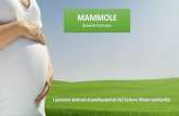 Mammole network formativo · globale alla donna affetta da insufficienza perineale. Sviluppare strategie preventive del danno alle strutture pelvi-perineo-sfinteriali. Favorire l’apprendimento