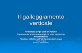 Il galleggiamento verticale · Il galleggiamento verticale Università degli studi di Verona Dipartimento Scienze neurologiche e del movimento Scienze Motorie Tecnica e didattica