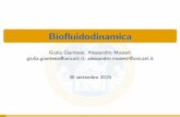  · Title: Biofluidodinamica Author: Giulia Giantesio, Alessandro Musesti giulia.giantesio@unicatt.it, alessandro.musesti@unicatt.it Created Date: 9/26/2019 5:12:00 PM