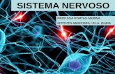 IL SISTEMA NERVOSO - istitutoamsicora.edu.it€¦ · Il sistema nervoso centrale è formato dall’encefalo e dal midollo spinale. L’encefalo rappresenta la parte più voluminosa