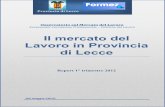 Il mercato del Lavoro in Provincia di LecceNEL+SALEN… · attori pubblici e privati del mercato del lavoro. In Provincia di Lecce, l’OML è attivo già dal mese di Luglio 2010,