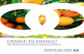 CRADLE TO CRADLE - Steinzeug-Keramo GmbH 2020-07-09 · Cradle to Cradle® signiﬁca dalla culla alla cul-la. E‘ un concetto che cambia il nostro modo di pensare il prodotto. Sostituisce