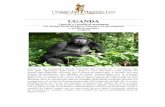 UGANDA - Parchi e gorilla di montagna, 11 gg · Edoardo, dove si concentrano tutti gli esemplari della fauna selvaggia africana. La ... Ziwa Rhino Sanctuary – Murchison Falls National