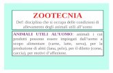 ZOOTECNIA - E-learning Università degli Studi di Teramo · 2014-10-13 · ZOOTECNIA Def: disciplina che si occupa delle condizioni di allevamento degli animali utili all’uomo ANIMALI