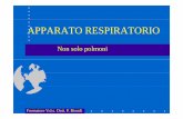 APPARATO RESPIRATORIOAPPARATO RESPIRATORIO respiratorio.pdf · APPARATO RESPIRATORIOAPPARATO RESPIRATORIO Non solo polmoni Formatore V.d.s. Dott. P. Biondi . OBBIETTIVI 1.Conoscere