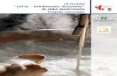 LA FILIERA “LATTE – PARMIGIANO REGGIANO” IN AREA … · 2020-07-07 · trasformato in Parmigiano Reggiano, viene lavorato per circa il 92% . 13 L'attività zootecnica è particolarmente