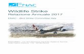 Relazione WS 2017 - ENAC · Per wildlife strike si intende generalmente l’impatto violento tra un aeromobile ed uno o più animali selvatici, prevalentemente uccelli (birdstrike),