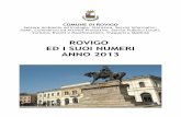ROVIGO ED I SUOI NUMERI ANNO 2013 · 2016-05-04 · Servizi Pubblici Locali, Turismo, Eventi e Manifestazioni, Trasporti e Mobilità Sezione Statistica Piazza Vittorio Emanuele II,
