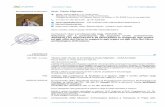INFORMAZIONI PERSONALI Arch. Paolo Mighettopaerco.authorityonline.eu/DOC/avvisi-bandi-ed-inviti... · 2019-02-07 · 16/2/2015-16/2/2018 Abilitato alla professione di Architetto il