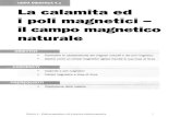 Modulo 4 - Elettromagnetismo ed induzione elettromagneticaprogetti.fav.it/files/1288364961/1288684479/FANFONI_Elet... · 2010-11-08 · Modulo 4 - Elettromagnetismo ed induzione elettromagnetica