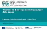 Produzione di energia dalla depurazione delle acque SPAGNI.pdf · La depurazione delle acque reflue USA ~ 3% del fabbisogno energetico (US EPA, 2006) Italia ~ 2-3% del fabbisogno