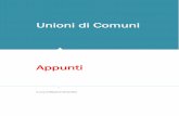 Unioni di Comuni - RisorseComuni · sulle Unioni e fusioni dei comuni, con particolare riguardo allo status degli amministratori, all’ordi-namento finanziario e contabile, al personale