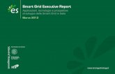 Smart Grid Executive Report - Accumulo di Energia · potenziale di mercato in Italia delle soluzioni "smart" (tra cui smart inverter, sistemi di otti-mizzazione degli asset di generazione,