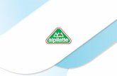 Alpilatte, - Brazzale S.p.A. · PDF file 2015-01-26 · SuperMix GRATTUGIATO FRESCO SUPERMIX / Freshly grated DESCRIZIONE PESO U.M. SHELF LIFE IMBALLO Description Weight U.M. Shelf