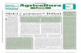 18 Agricoltura Mercoledì 11 Aprile 2018Il 28 luglio 2016 è stata adottata in Italia una legge (n. 154), che modifica ... A ciò è corrisposto un leggero incremento delle importazioni,