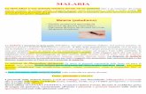 MALARIA - laban.it · MALARIA La MALARIA è una malattia infettiva dovuta ad un protozoo (che è un organismo del mondo animale costituito da un'unica cellula. I protozoi possono