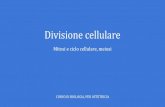 Divisione cellularecompgen.bio.unipd.it/~ale/divisione_cellulare_mitosi_meiosi.pdf · LA DIVISIONE CELLULARE: EUCARIOTI - Le cellule eucariotiche si dividono con due meccanismi: mitosi