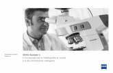 Versione 1.0 Il microscopio per la metallografia di ... · consente di eseguire attività di imaging avanzate e di analisi con ZEISS Axiolab 5. Microscopia smart: documentazione digitale