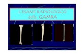L’ESAME RADIOLOGICO della GAMBAetsrm.it/doc_rubriche/231-017-18_Rx_gamba.pdf · PROIEZIONI STANDARD LATERALE Indicazioni: traumatologia, lesioni ossee focali. Posizione del paziente: