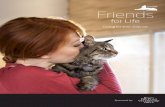 077966 AAFP SeniorCare Brochure HR · PDF file passenger, you might feel anxious about taking your cat to a veterinarian. However, there are ways you can help reduce the stress —