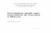 Disciplina degli agri marmiferi di Carrara e Massa€¦ · Par.7.6 Delibera del Consiglio Comunale di Carrara del 21/7/2005 n°61 Capitolo 8 Dispute sulla natura degli agri marmiferi
