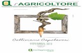 Coltiviamo Capolavori - Confagricoltura Umbria · Conferenza ESRI 2016: DSS per la mosca olearia FISCALE/DATORIALE Legge di stabilità 2016: disposizioni per l’agricoltura TECNICO