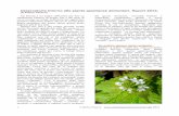 Osservatorio intorno alle piante spontanee alimentari ...piantespontaneeincucina.info/wordpress/wp-content/uploads/2015/0… · Osservatorio intorno alle piante spontanee alimentari.