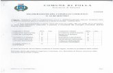 Comune di POLLA (SA) | - un Territorio da Scoprire · 2018-10-17 · DELIBERAZIONE DEL CONSIGLIO COMUNALE N. 16 del 30/07/2015 Oggetto: IMPOSTA UNICA COMUNALE (I.U.C.). APPROVAZIONE