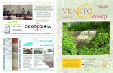 VENETO Geologi REGIONE DEL VENETO - Geologi Veneto · devono sempre essere basati sulla caratteriz-zazione geotecnica del sottosuolo ottenuta peer mezzo di rilievi, indagini e prove”