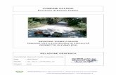 Provincia di Pesaro-Urbino - Fano · Suolo Descrizione geotecnica Vs 30(m/s) A Ammassi rocciosi affioranti o terreni molto rigidi caratterizzati da valori di Vs30 superiori a 800