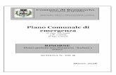 Piano Comunale di emergenza - Comune di Bomporto€¦ · Programmi Provinciali di Previsione e Prevenzione di Protezione Civile (Del. G. R. 2422/2003) ALLEGATO B SCHEDA DI CENSIMENTO