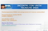INCONTRI CON UNITA’ TECNICHE ENEAold.enea.it/com/inf/res/varie/Horizon2013/Casaccia10-10-2013/DeFel… · TECNICHE ENEA Partecipazione ENEA nei programmi di ricerca comunitari Presentazione