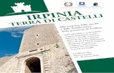 Irpinia, terra di castelli. · 2016-04-19 · castelli d’Irpinia hanno avuto vita lun-ga, lunghissima, passando di padre in figlio e seguendo le sorti delle varie ca-sate: baluardi